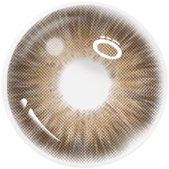 Z'lenso®Mocha Brown ZL05 | Korean Lenses | Made in Kore