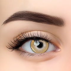 Z'lenso®Latte Brown ZL08 | Korean Lenses | Made in Korea