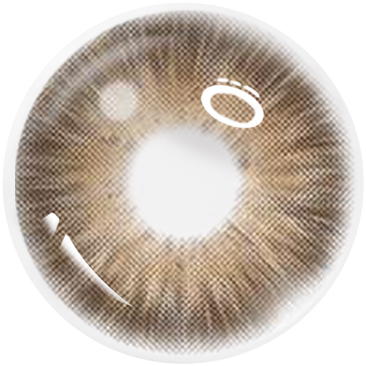 Z'lenso®Mocha Brown ZL05 | Korean Lenses | Made in Kore